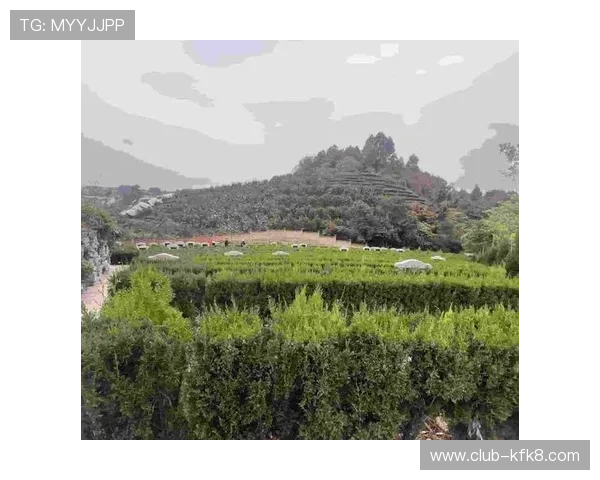 凯发K8百家乐新手注册流程详解，轻松开启你的线上百家乐之旅