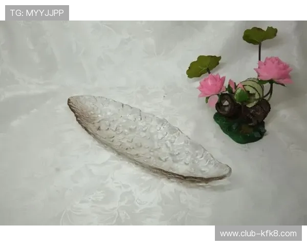 凯发集团登录网址最新入口及下载安装步骤详解确保玩家顺利注册登录